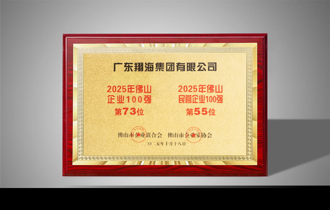 Top 100 Enterprises in Foshan in 2025